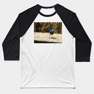 Superb Fairy Wren in Norton Summit 2 Baseball T-Shirt